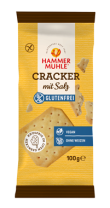 Cracker mit Salz