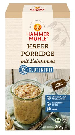 Bio Hafer Porridge mit Leinsamen