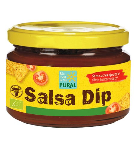 Salsa Dip